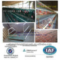 chicken poultry cage TUV Certicification hot dipped galvanized 20 years lifetime with Auto water system